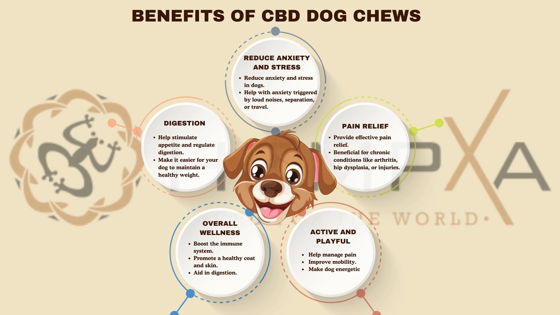 benefits of cbd dog chews