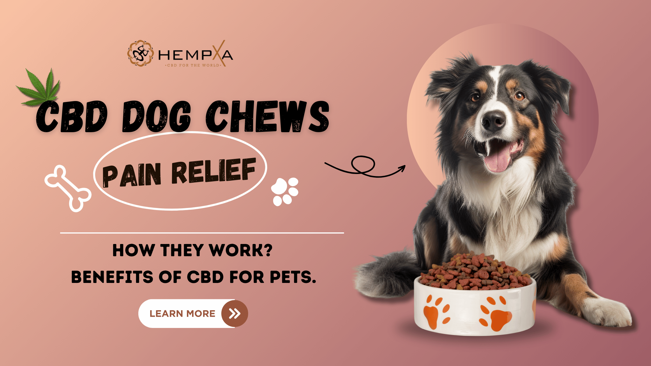 CBD dog chews for pain